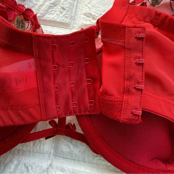 Cacique - Lane Bryant Red Cherries Lightly Lined French Balconette Bra 42DDD - Picture 4 of 8